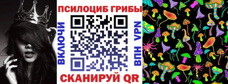 где продают наркотики  Лесозаводск  Псилоцибиновые грибы Cubensis 